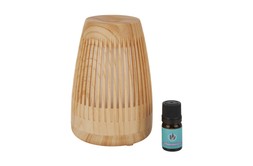 FI4885 TK Maxx-diffuser-RRP &pound;-New price &euro;19.99-5524