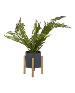 TK Maxx - fake plant &euro;19.99
