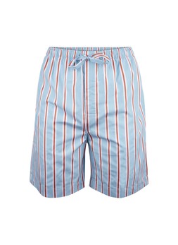 TK Maxx Men Stripes swimmimg shorts €39.99 ( RRP €189.99)