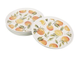 TK Maxx Oranges picnic plates €10.99