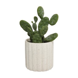 beauty fakecactiincreampot €10.99