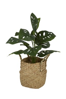 FI4810 TK Maxx fake plant &euro;17.99