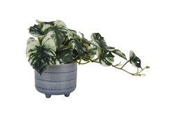 FI4832 TK Maxx fake plant &euro;24.99