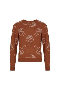 FI5014 TK Maxx - Men - mushroom orange jumper - €27.99 17982
