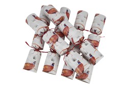 FI5014 TK Maxx - xmas crackers - €19.99 ( RRP €28.00 ) 17808