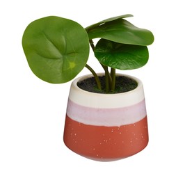 scandi fauxplantwithpinkstripepot €8.99