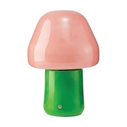 TK Maxx Colourful Green&Pink Glass Rechargable Mushroom Lamp €24.99