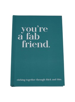 TK Maxx Friend book €5.99 (RRP €10.99)