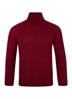 TK Maxx Men burgundy jumper €59.99 ( RRP €209.99)