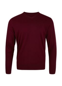 TK Maxx Men burgundy jumper £ ( RRP £)