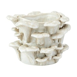 TK Maxx Scandi Grey Oysters Mushrooms Vase €24.99