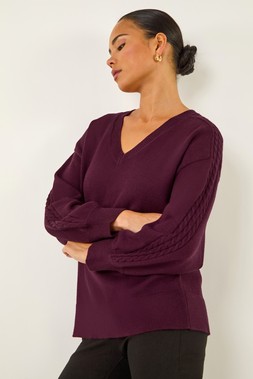 Roman Petite Plum Contrast Sleeve Knit Jumper