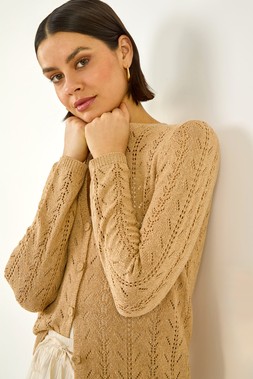 Roman Beige Shimmer Button Knit Cardigan