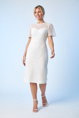 Roman Petite Ivory Lace Short Sleeve Dress