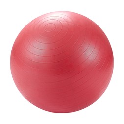 HOLISTIC HORIZON 75cmdiameterfitnessball RRP25 17.99
