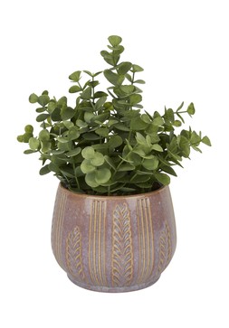 TK Maxx-fake plant &pound;9.99 (RRP &pound;XX)