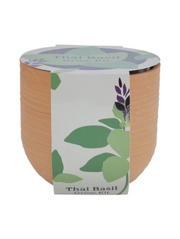 TK Maxx - Thai Basil Grow Kit - &pound;9.99 (RRP &pound;XX)
