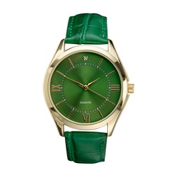 JOYFUL MINIMALISM gold&greenwatch 16.99