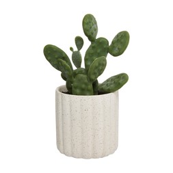 Beauty Fake Cacti In Cream Pot £7.99