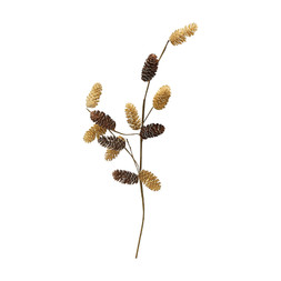 Kintentional BranchWithPinecones RRP4.49 £1.99
