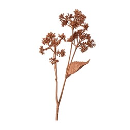 Kintentional CopperBranchWithFlowers RRP5.49 £2.49