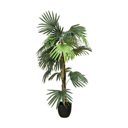 Kintentional KentiaPalmFauxPlant £29.99