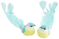 Blue Lovebirds