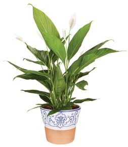 Faux Plant