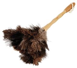 Feather Duster
