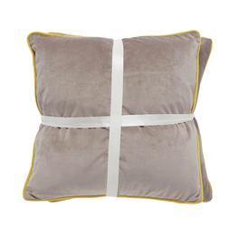 Set of Velvet Cushions