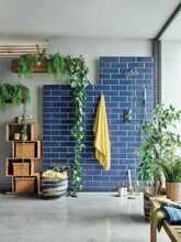 Homesense Image Id 1007857