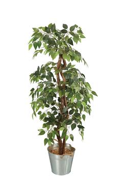 Homesense Image Id 972761