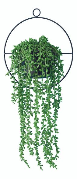 Bedroom - Hanging Plant &pound;12.99
