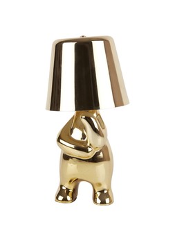 homesense gold lamp £19.99 (RRP £)