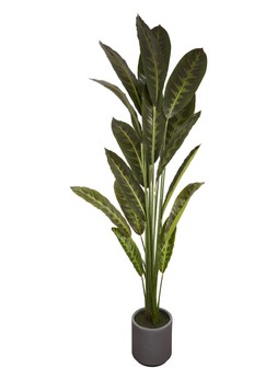 Homesense large fake plant £45.00 ( RRP £)