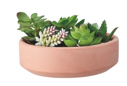 Outdoor Dining - Succulent TerraCotta &pound;12.99