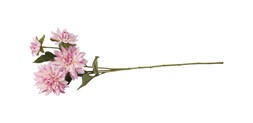 Homesense pink plastic flower £2.99 (RRP £)