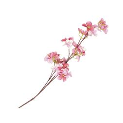 Homesense Image Id 929487