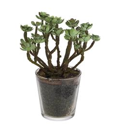 Fake Plant