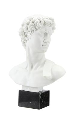 World Traveller Bust