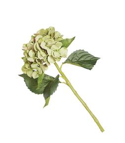 Homesense Image Id 929524