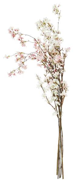 Silk Blossom Stems