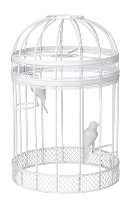 Decorative Bird Cage