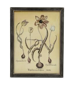 Flower Sketch