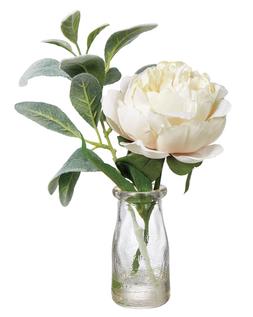 Homesense Image Id 929525