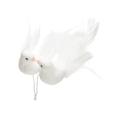 Set of 2 Doves