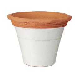 Terracotta Rim Plant Pot