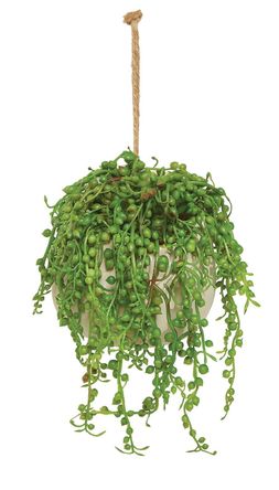 earth mother of pearl hanging plant &pound;7.99