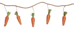 Easter carrots garland
