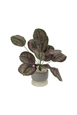 Fake plant &pound;14.99